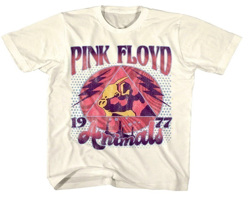Timeless Echoes: Dive into the Pink Floyd Merch Collection