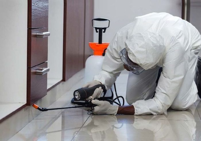 Pest Control Services: Protecting Your Property Investment and Health