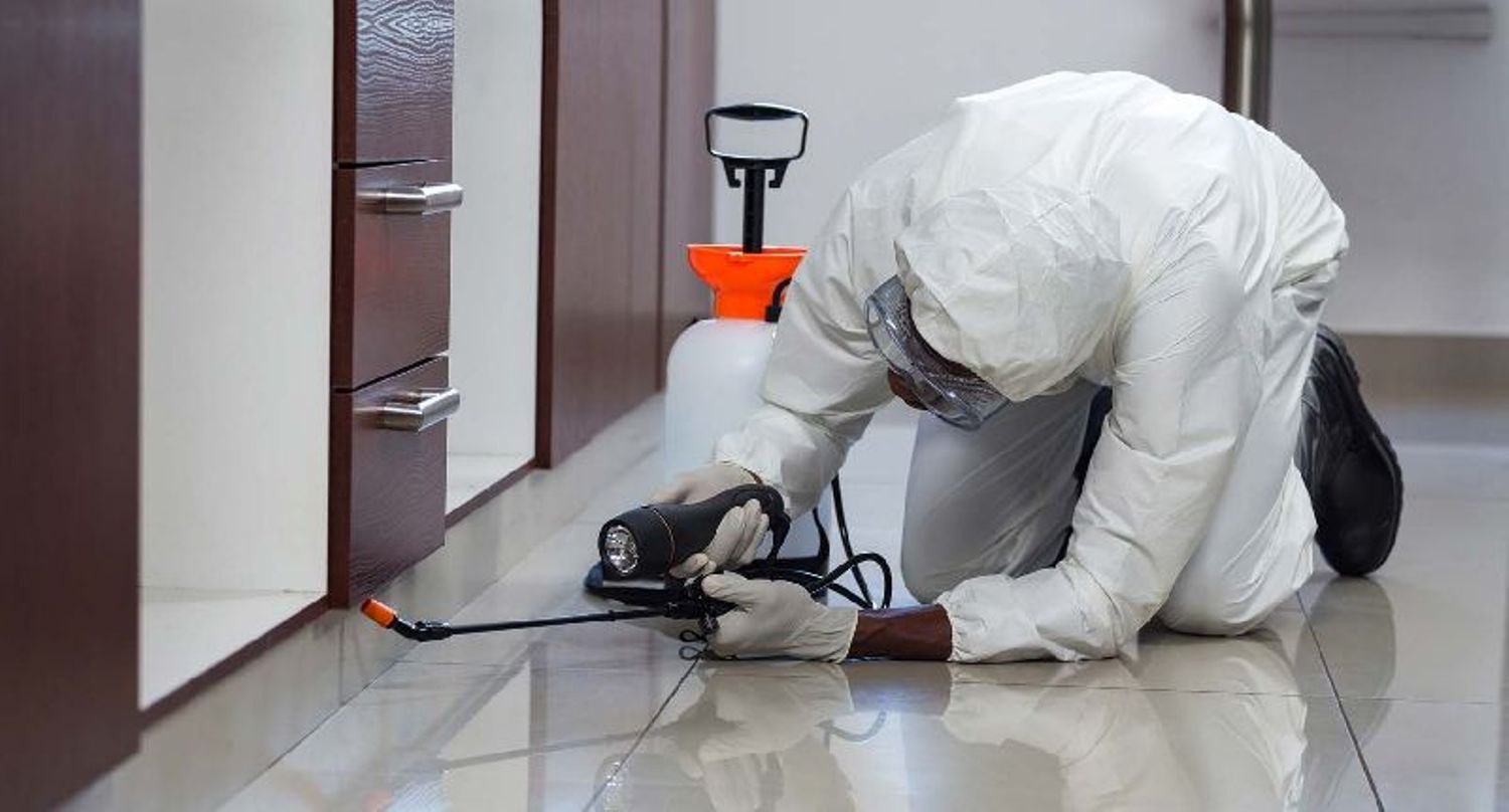 Pest Control Services: Protecting Your Property Investment and Health