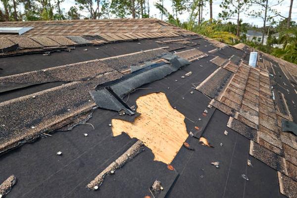 Understanding Roof Replacement Costs in Greenville