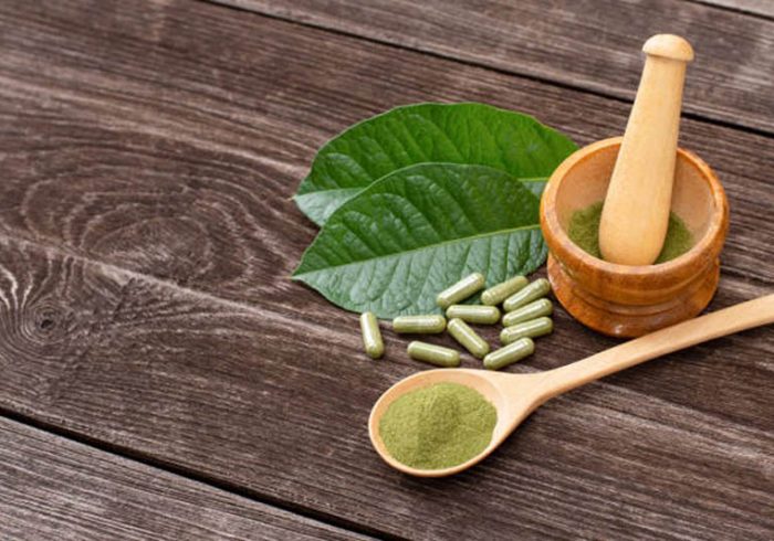 Top Kratom Strains for Beginners Starting Your Journey with Confidence