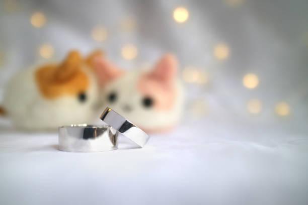 Get the Cutest Silver Cat Jewelry for Everyday Wear