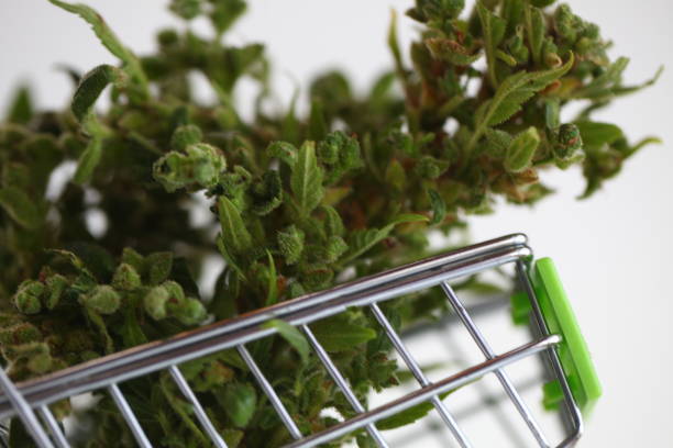 Weed Carts and Health Understanding the Impact on Your Body