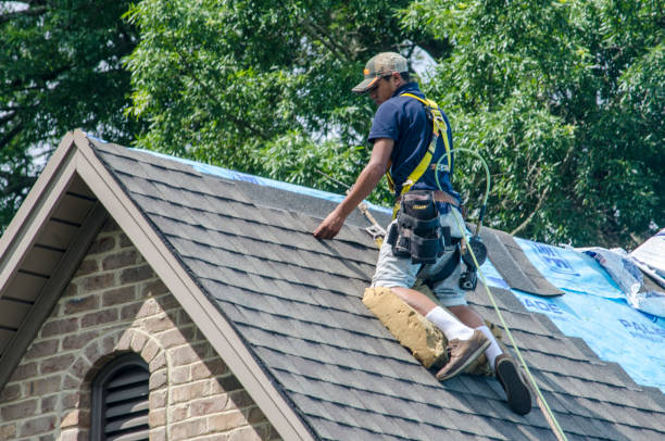 Roof Replacement Near Me Made Easy with EFER Renovations Inc